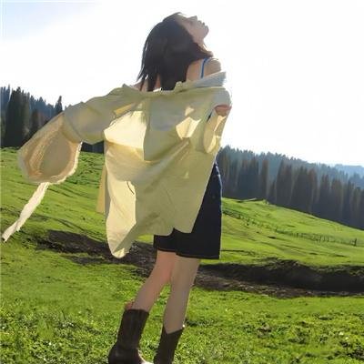 妙探双龙